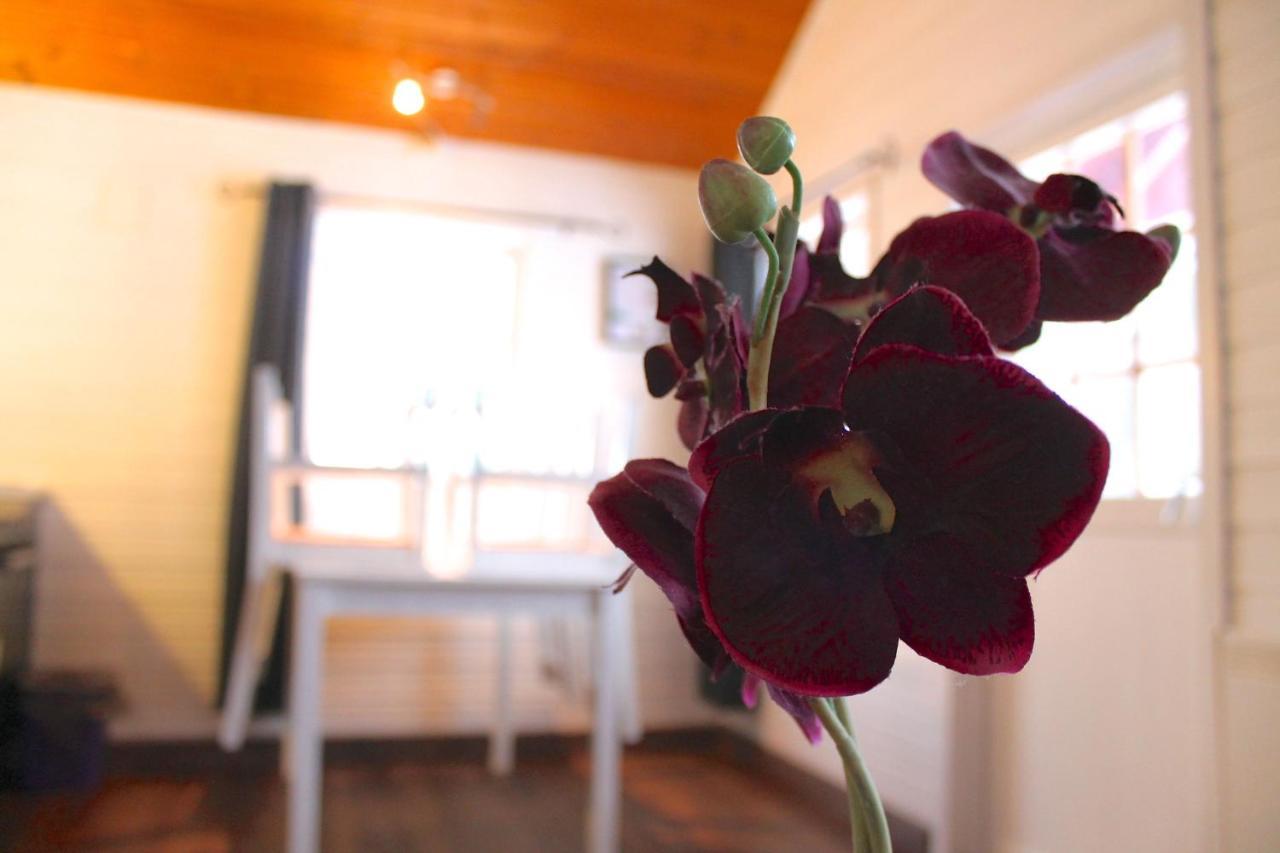 Lofoten Camp 斯塔姆松 外观 照片